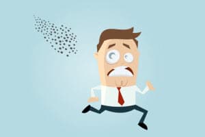 wasp removal services