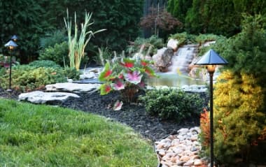 backyard mosquito control backyard mosquito control