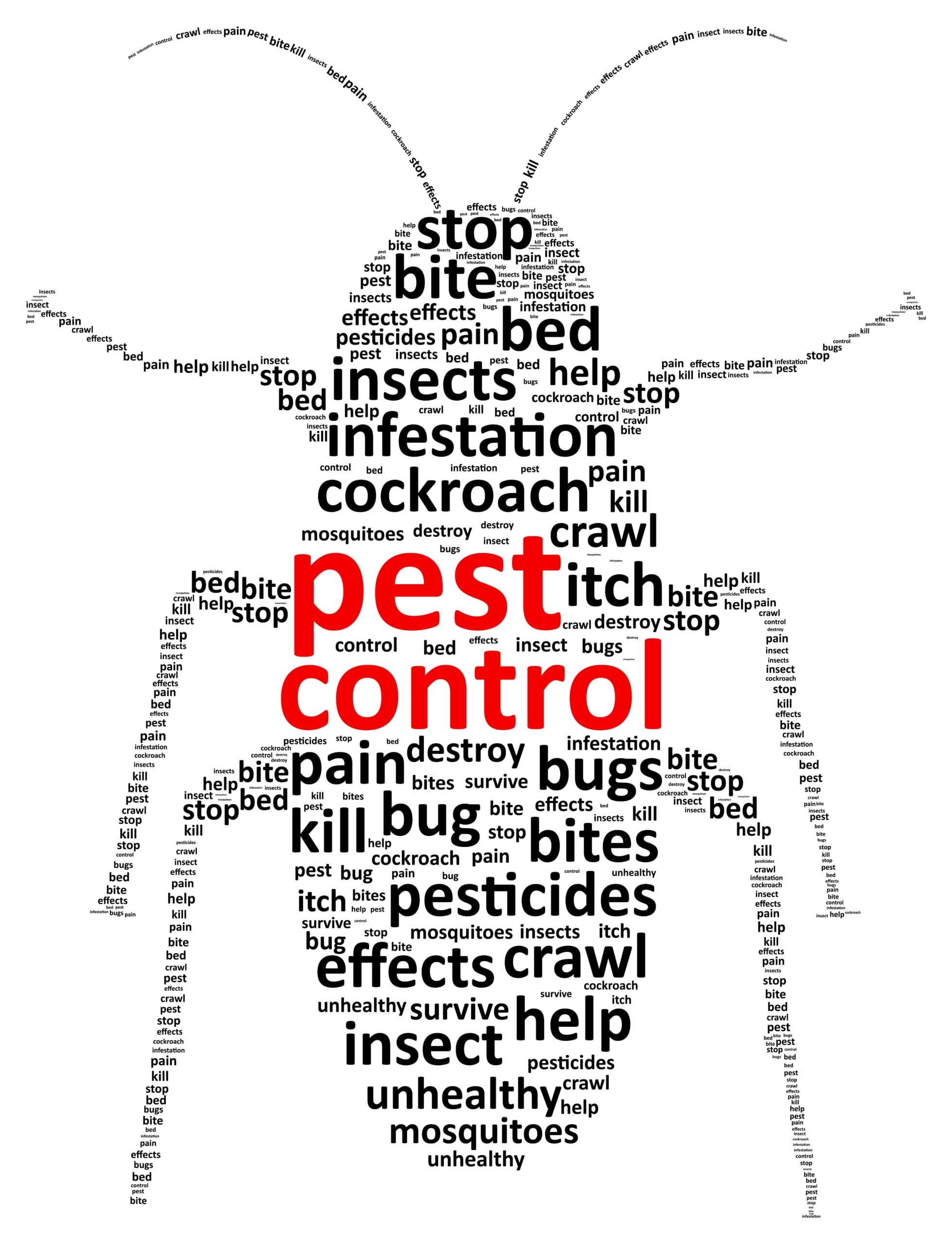 proper-pest-control