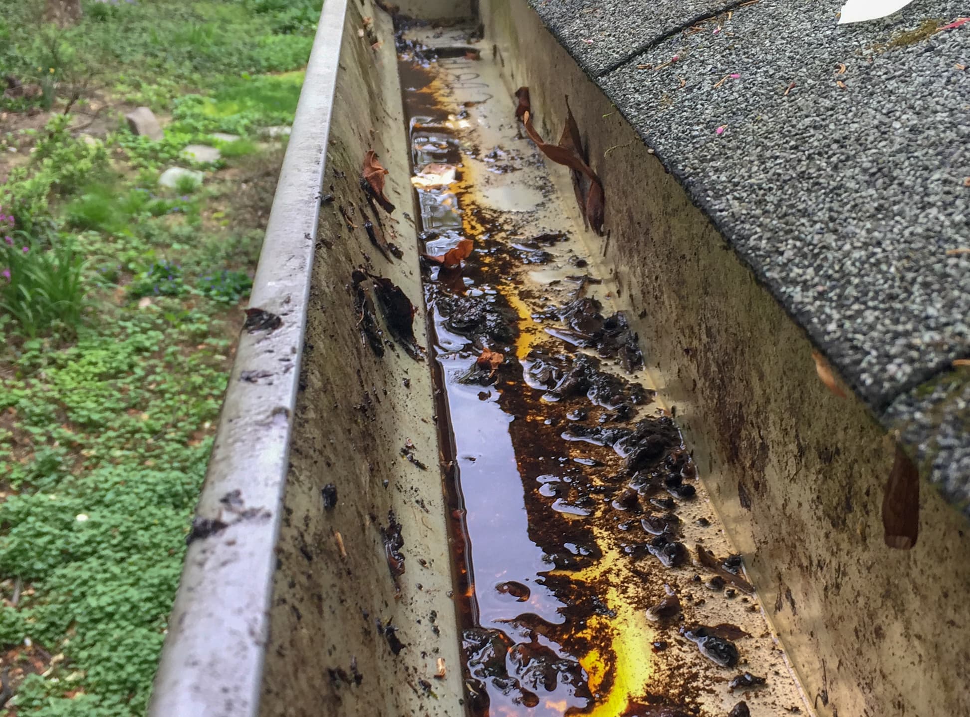 Stagnant water in gutters Stagnant water in gutters